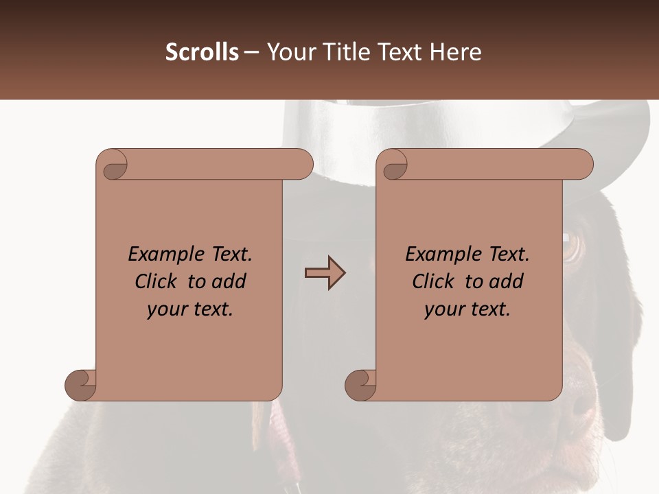 A Dog Wearing A Hat With A Name Tag On It PowerPoint Template