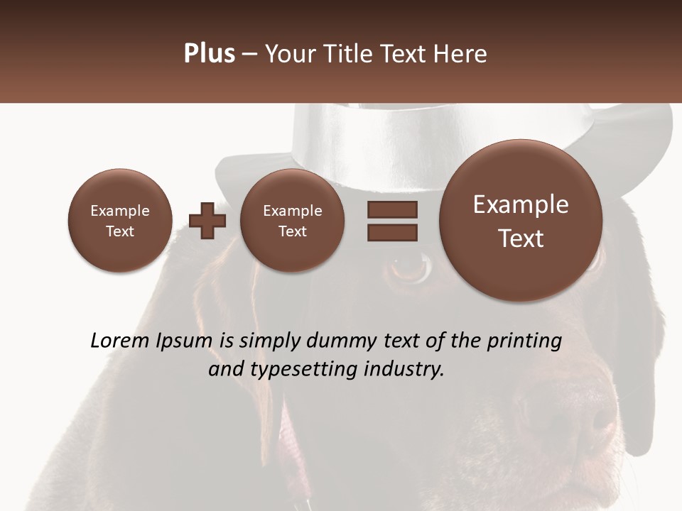 A Dog Wearing A Hat With A Name Tag On It PowerPoint Template