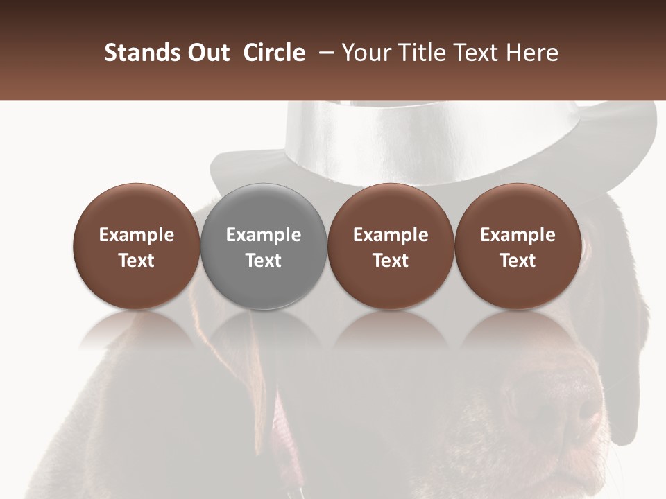 A Dog Wearing A Hat With A Name Tag On It PowerPoint Template