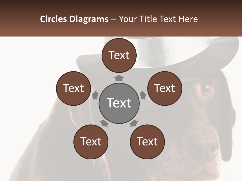 A Dog Wearing A Hat With A Name Tag On It PowerPoint Template