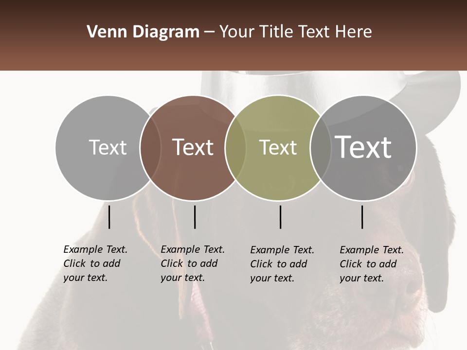 A Dog Wearing A Hat With A Name Tag On It PowerPoint Template