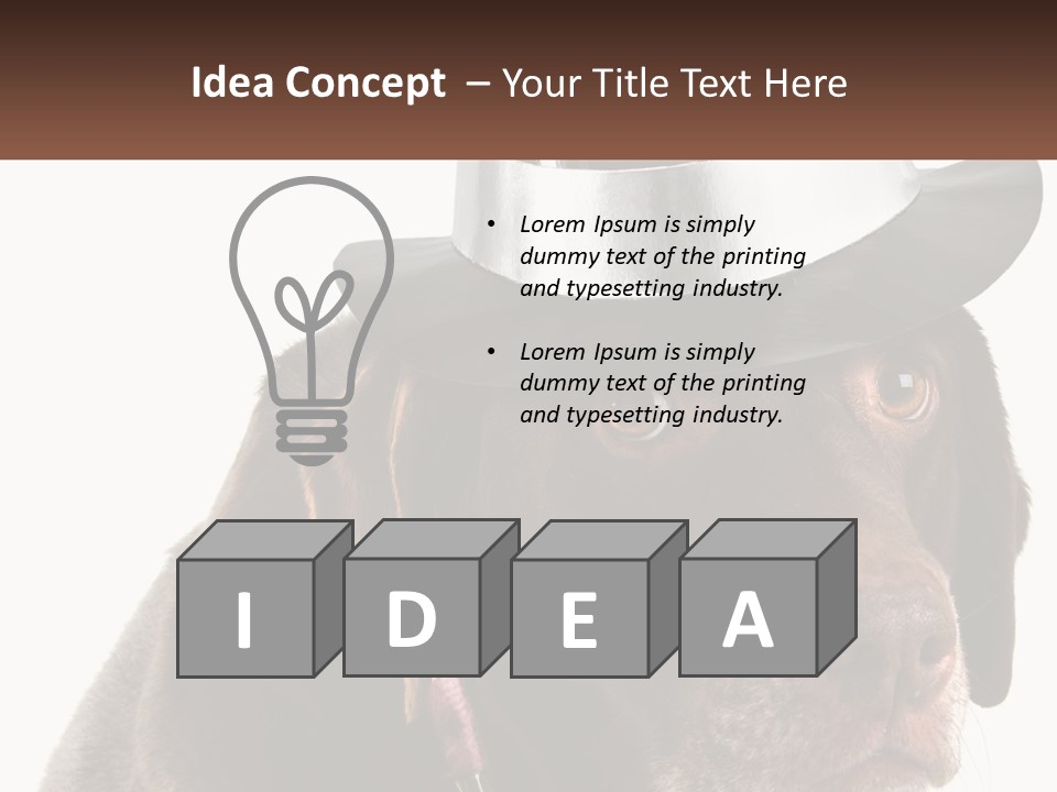 A Dog Wearing A Hat With A Name Tag On It PowerPoint Template