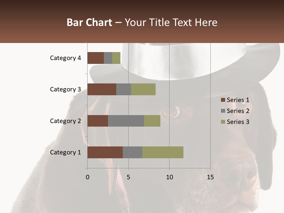 A Dog Wearing A Hat With A Name Tag On It PowerPoint Template