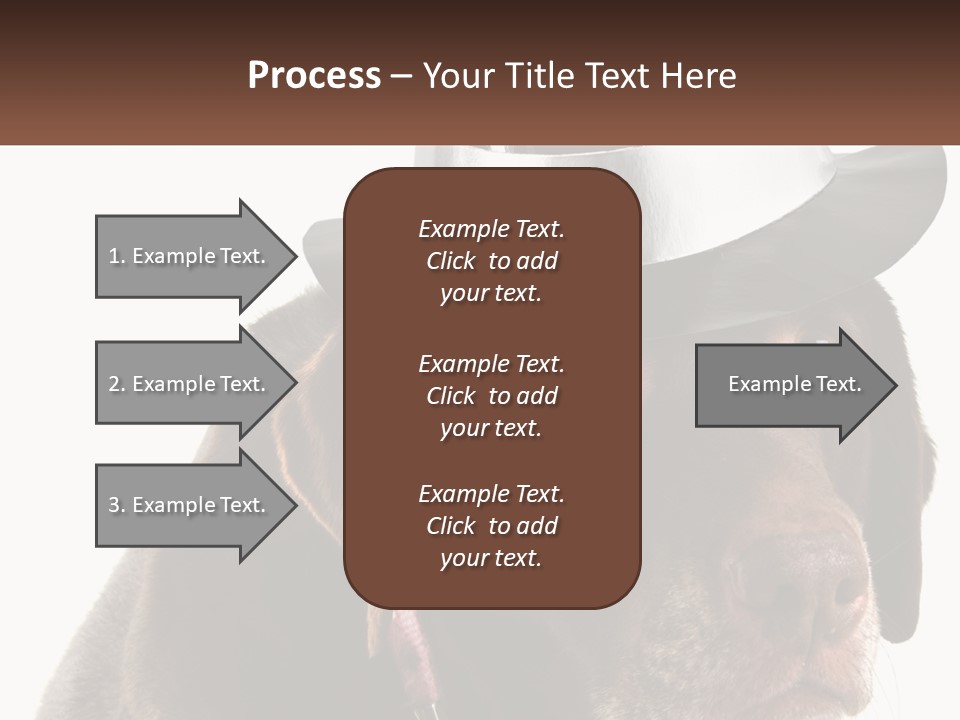 A Dog Wearing A Hat With A Name Tag On It PowerPoint Template