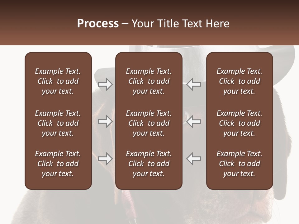 A Dog Wearing A Hat With A Name Tag On It PowerPoint Template