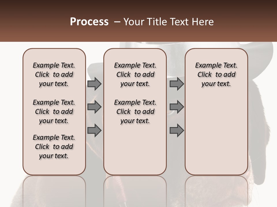 A Dog Wearing A Hat With A Name Tag On It PowerPoint Template
