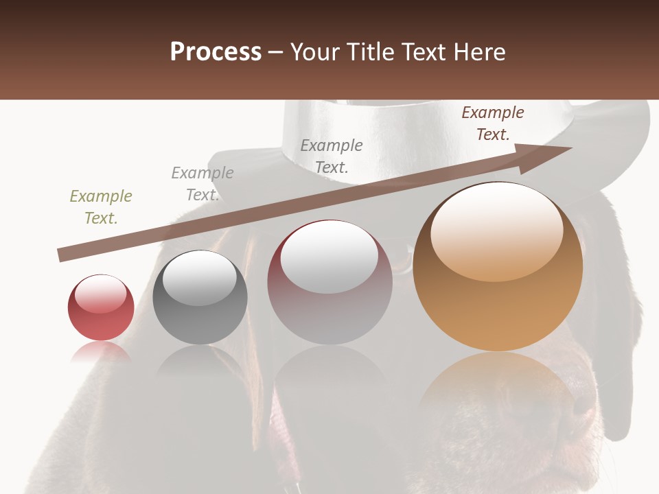 A Dog Wearing A Hat With A Name Tag On It PowerPoint Template