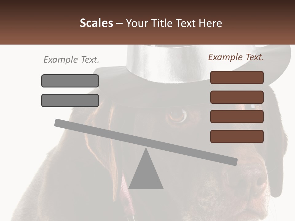 A Dog Wearing A Hat With A Name Tag On It PowerPoint Template