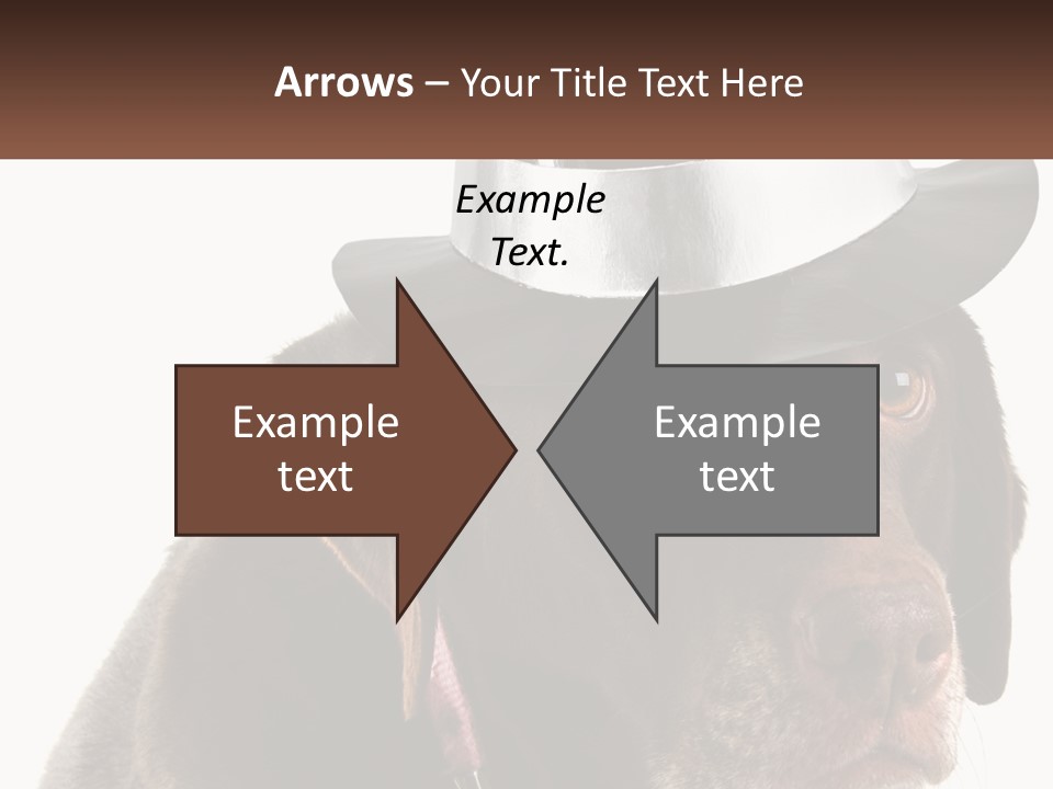 A Dog Wearing A Hat With A Name Tag On It PowerPoint Template