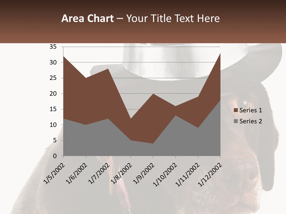 A Dog Wearing A Hat With A Name Tag On It PowerPoint Template