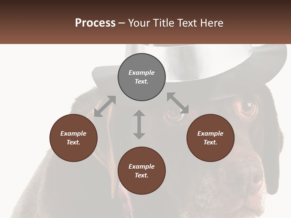 A Dog Wearing A Hat With A Name Tag On It PowerPoint Template