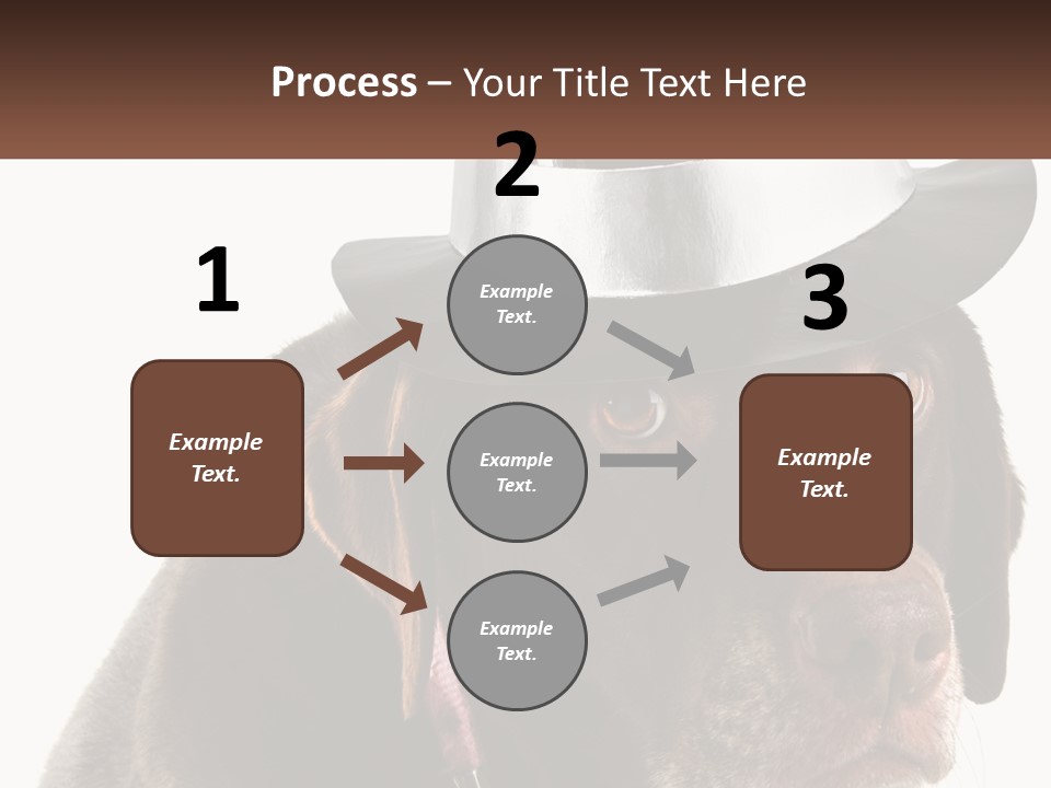 A Dog Wearing A Hat With A Name Tag On It PowerPoint Template