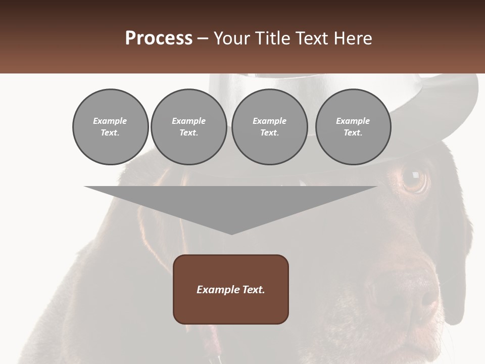 A Dog Wearing A Hat With A Name Tag On It PowerPoint Template