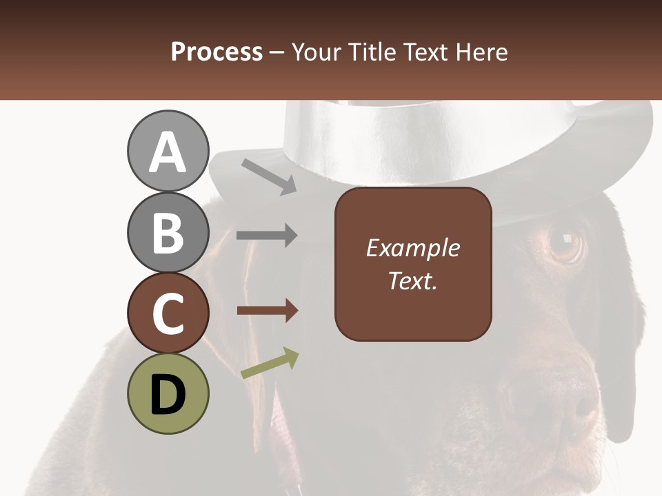 A Dog Wearing A Hat With A Name Tag On It PowerPoint Template
