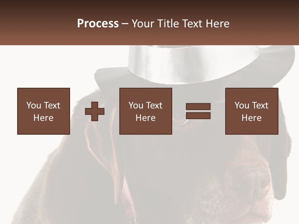 A Dog Wearing A Hat With A Name Tag On It PowerPoint Template