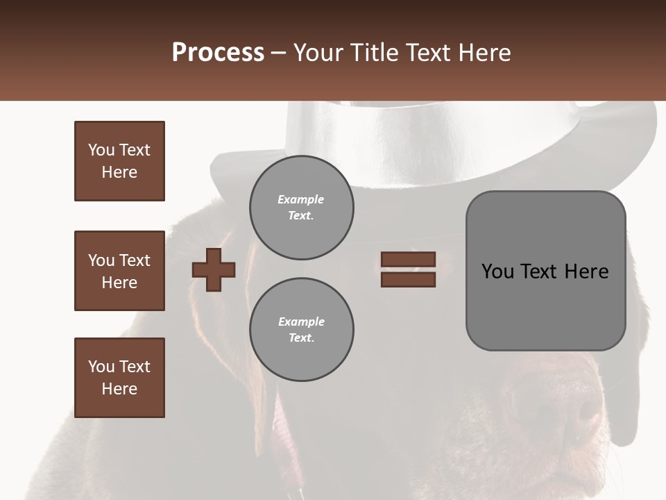 A Dog Wearing A Hat With A Name Tag On It PowerPoint Template