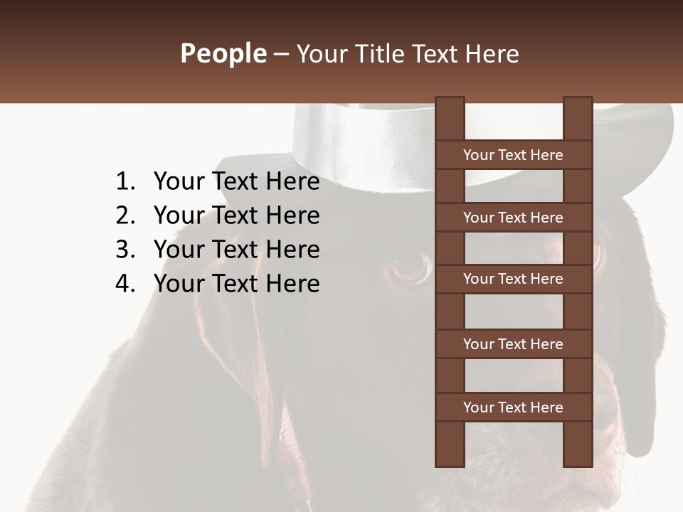 A Dog Wearing A Hat With A Name Tag On It PowerPoint Template