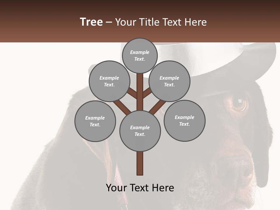 A Dog Wearing A Hat With A Name Tag On It PowerPoint Template