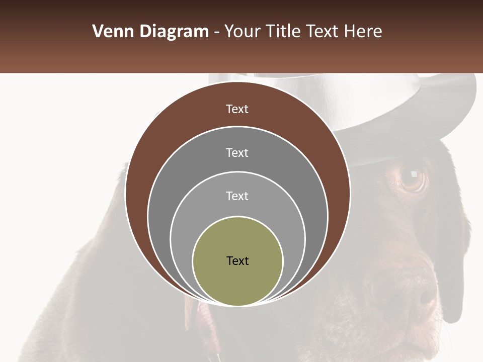 A Dog Wearing A Hat With A Name Tag On It PowerPoint Template