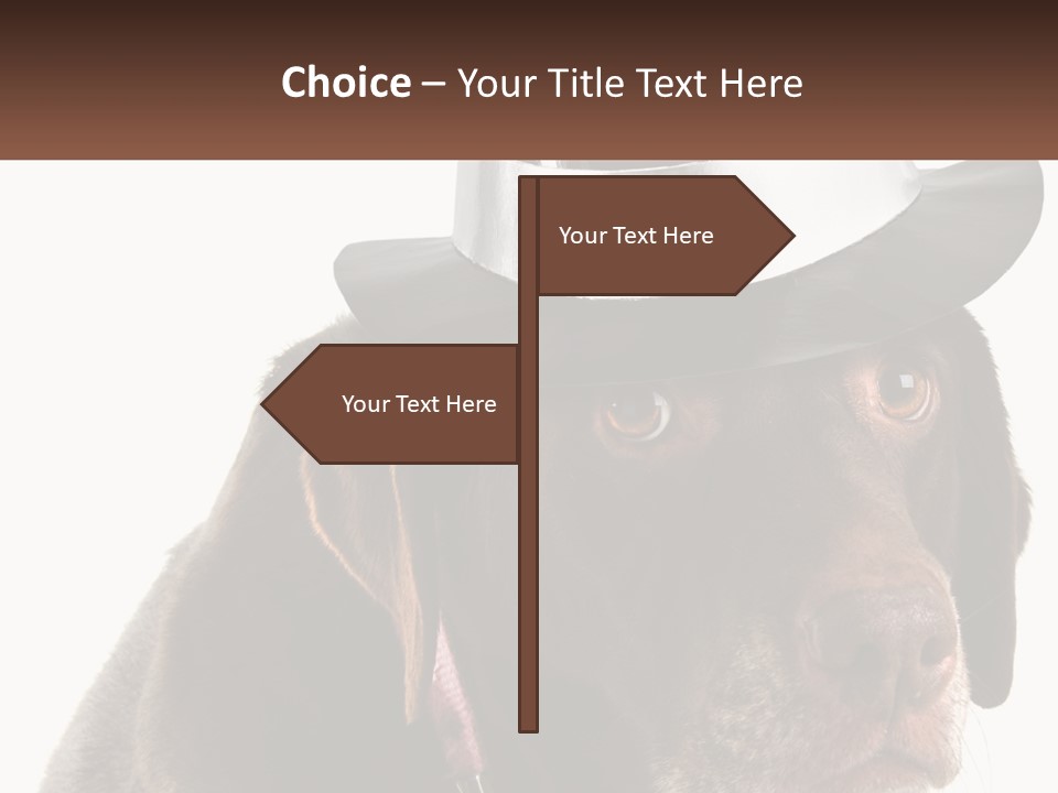 A Dog Wearing A Hat With A Name Tag On It PowerPoint Template