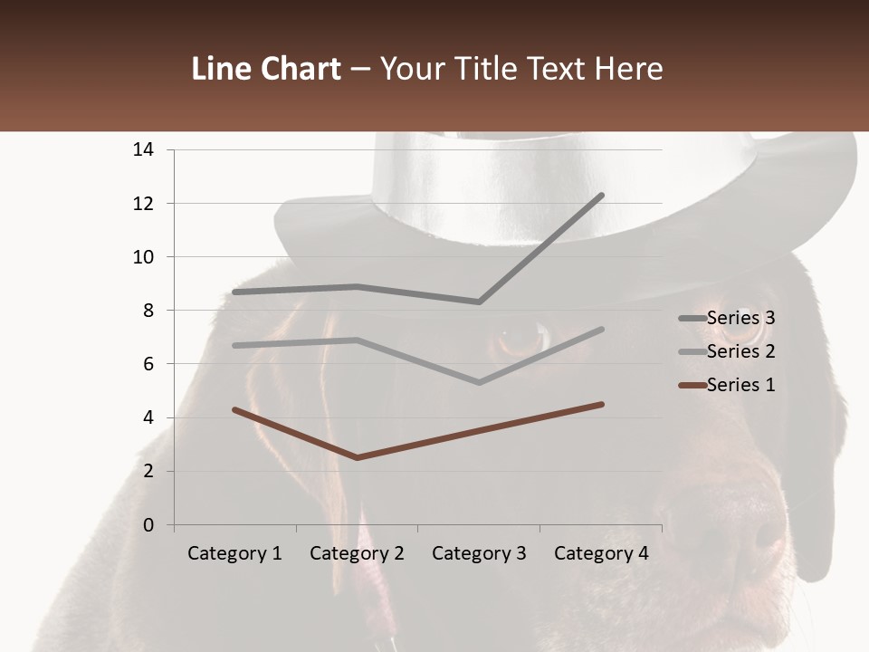 A Dog Wearing A Hat With A Name Tag On It PowerPoint Template