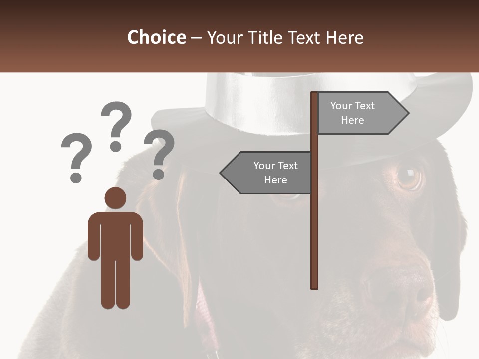 A Dog Wearing A Hat With A Name Tag On It PowerPoint Template