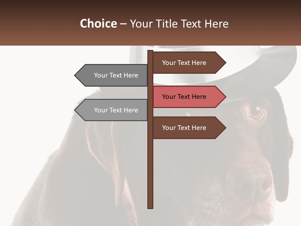 A Dog Wearing A Hat With A Name Tag On It PowerPoint Template