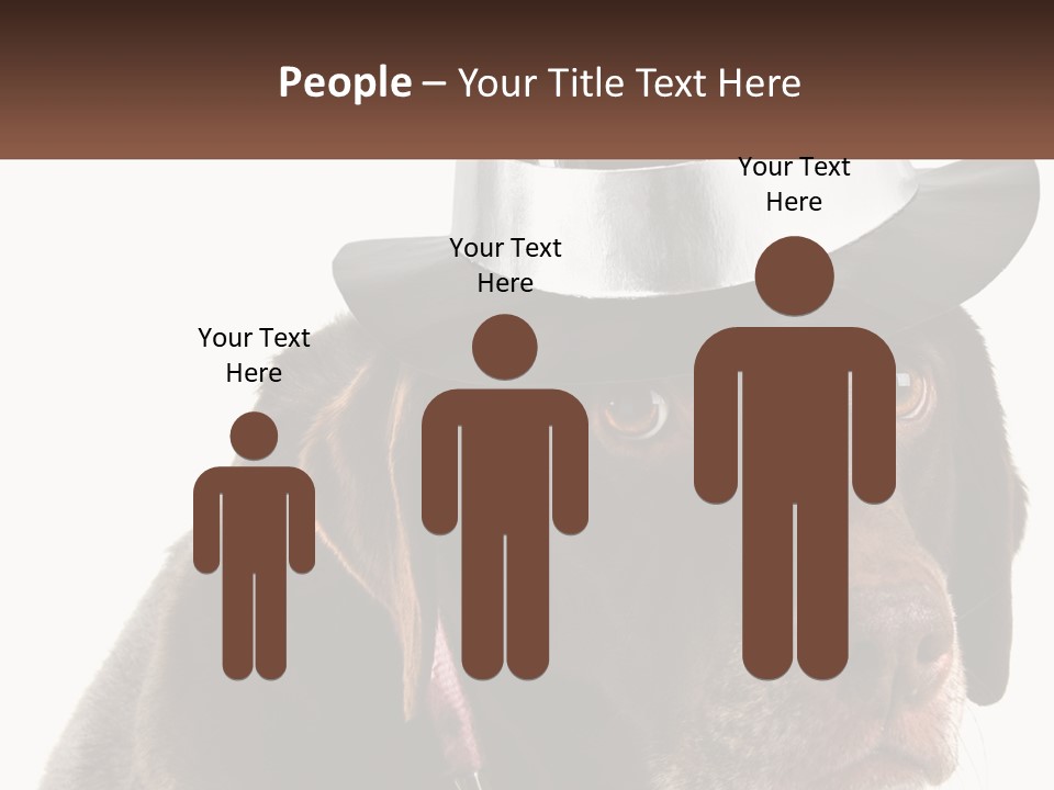 A Dog Wearing A Hat With A Name Tag On It PowerPoint Template