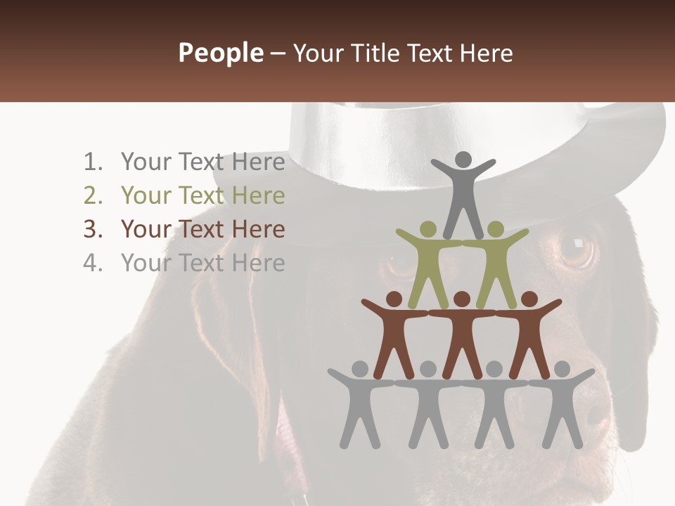 A Dog Wearing A Hat With A Name Tag On It PowerPoint Template