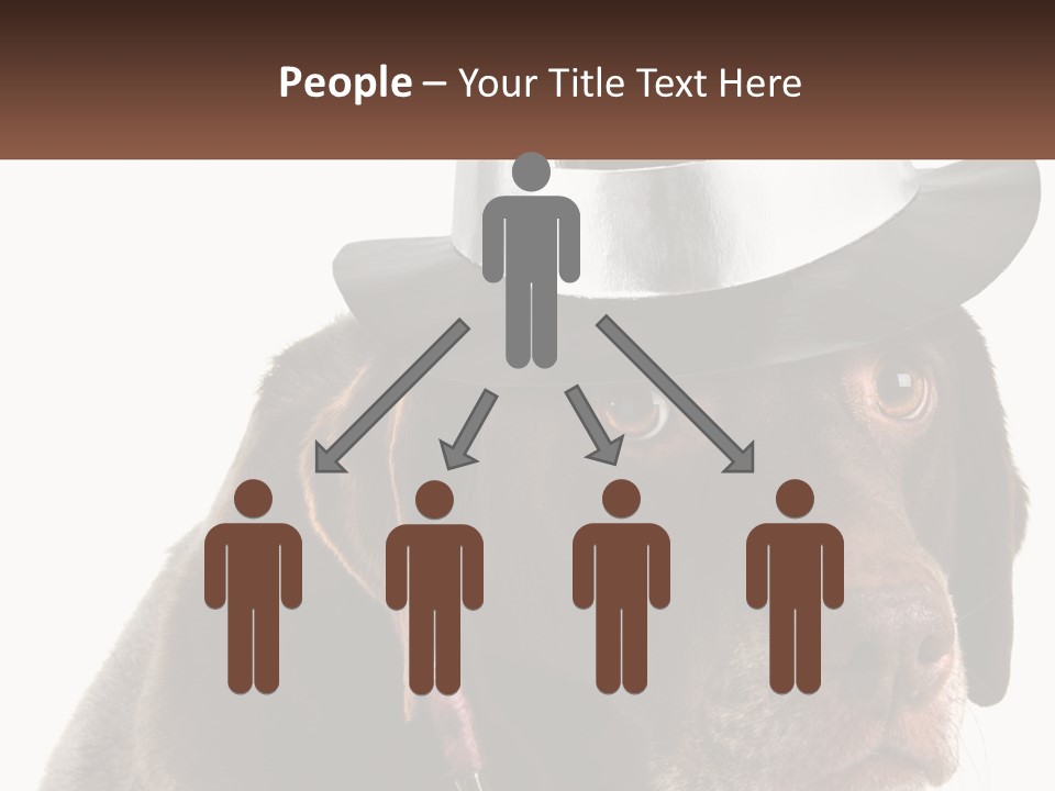 A Dog Wearing A Hat With A Name Tag On It PowerPoint Template