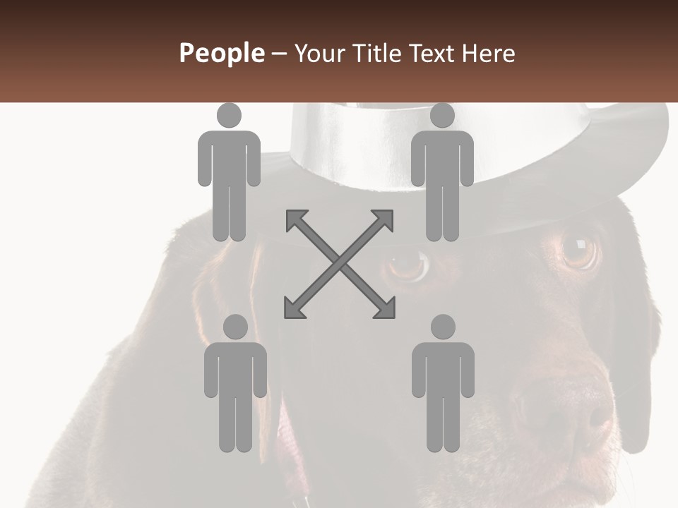 A Dog Wearing A Hat With A Name Tag On It PowerPoint Template