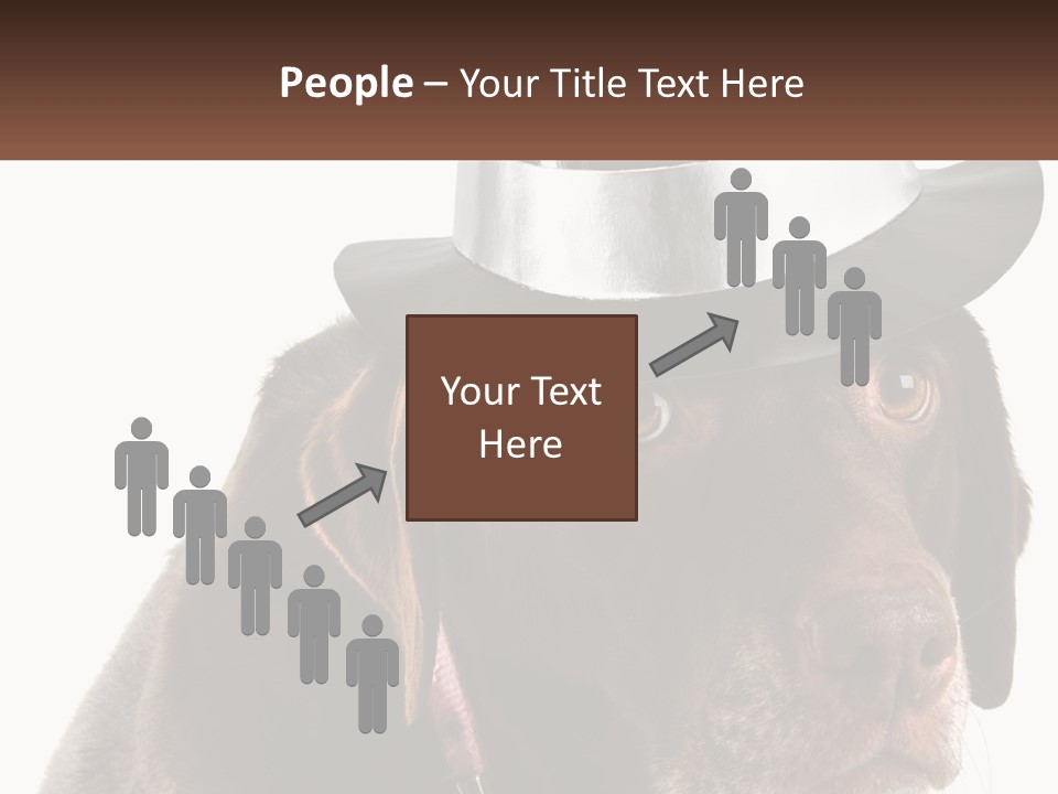 A Dog Wearing A Hat With A Name Tag On It PowerPoint Template