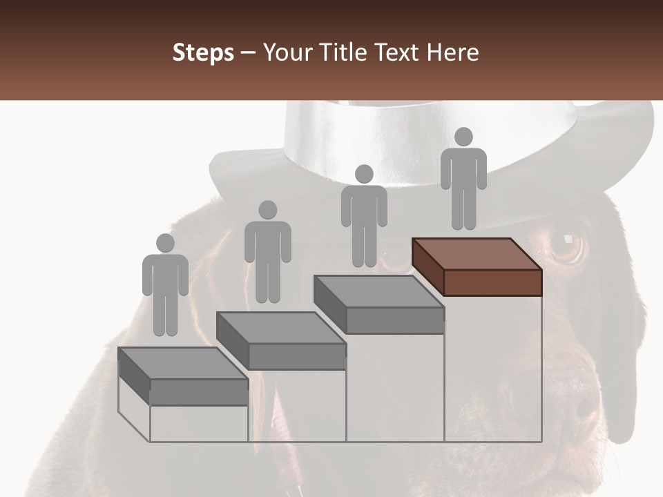 A Dog Wearing A Hat With A Name Tag On It PowerPoint Template