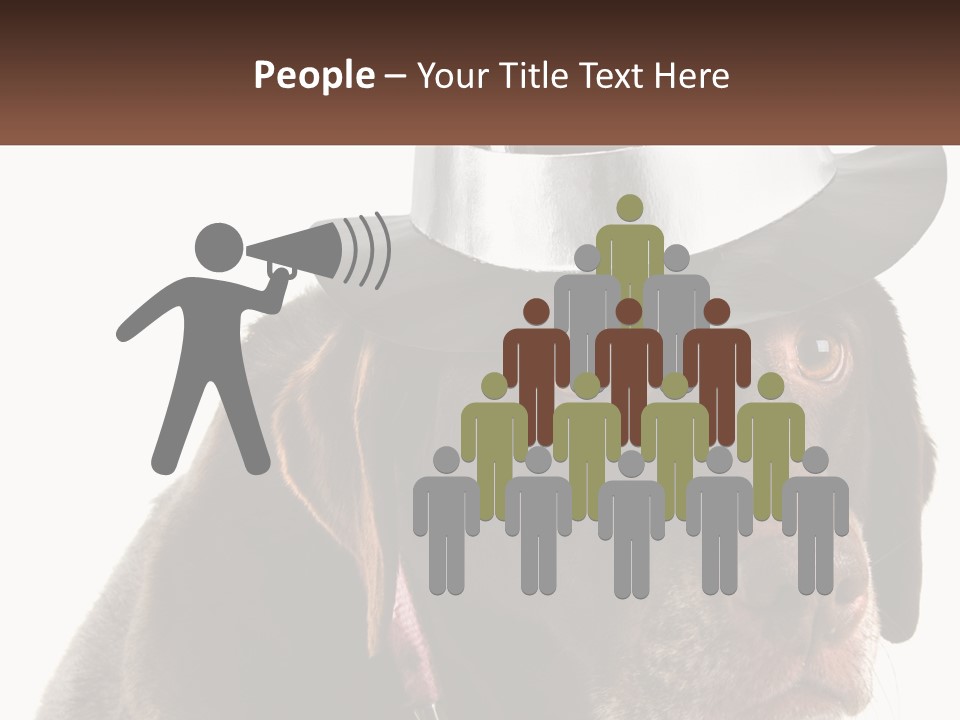 A Dog Wearing A Hat With A Name Tag On It PowerPoint Template