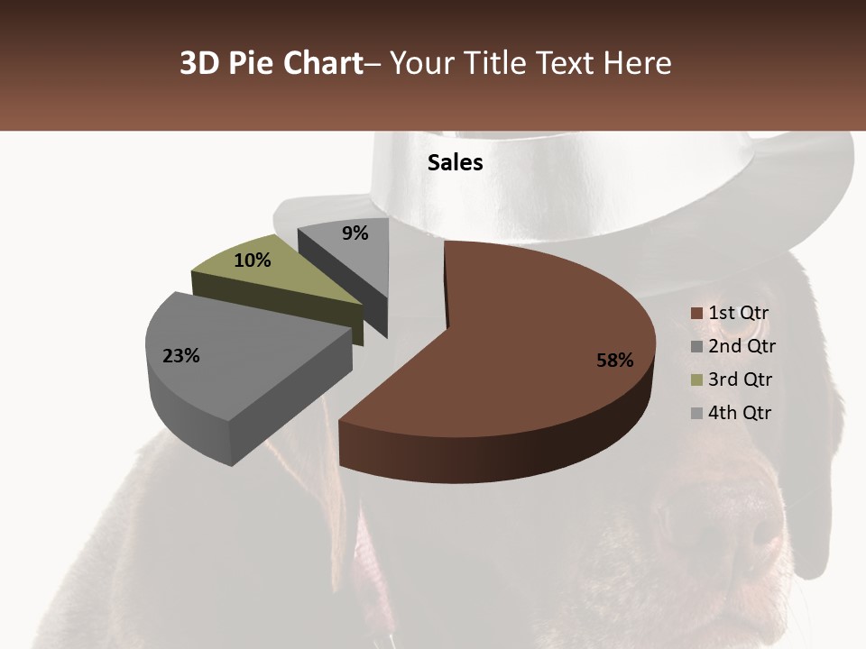 A Dog Wearing A Hat With A Name Tag On It PowerPoint Template