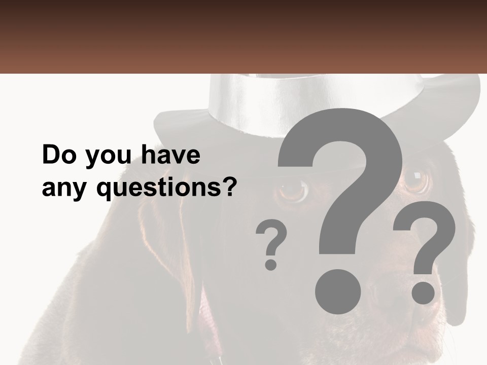 A Dog Wearing A Hat With A Name Tag On It PowerPoint Template