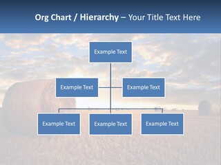 A Field With Hay Bales In The Foreground And A Sunset In The Background PowerPoint Template