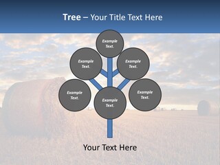 A Field With Hay Bales In The Foreground And A Sunset In The Background PowerPoint Template