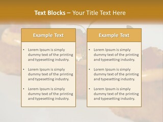 A White Plate Topped With Mini Cakes Covered In Toppings PowerPoint Template