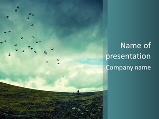 A Group Of Birds Flying In The Sky PowerPoint Template