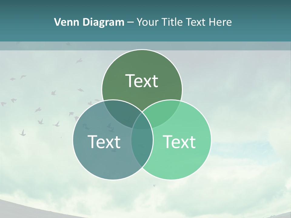 A Group Of Birds Flying In The Sky PowerPoint Template