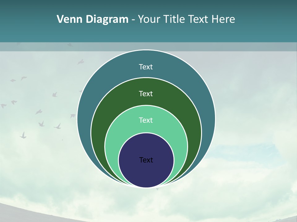 A Group Of Birds Flying In The Sky PowerPoint Template