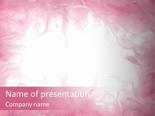 A Pink Background With Feathers On It PowerPoint Template