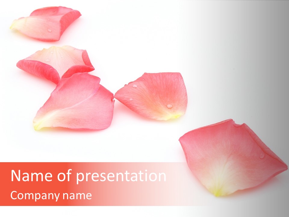 A Group Of Pink Flowers On A White Background PowerPoint Template