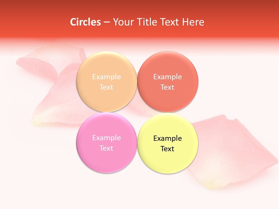 A Group Of Pink Flowers On A White Background PowerPoint Template