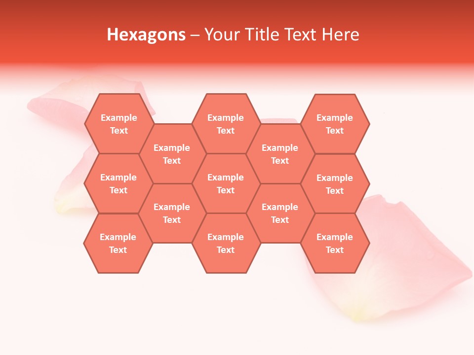 A Group Of Pink Flowers On A White Background PowerPoint Template