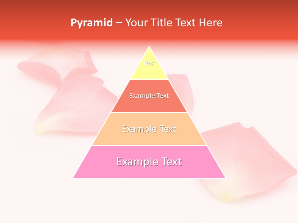 A Group Of Pink Flowers On A White Background PowerPoint Template