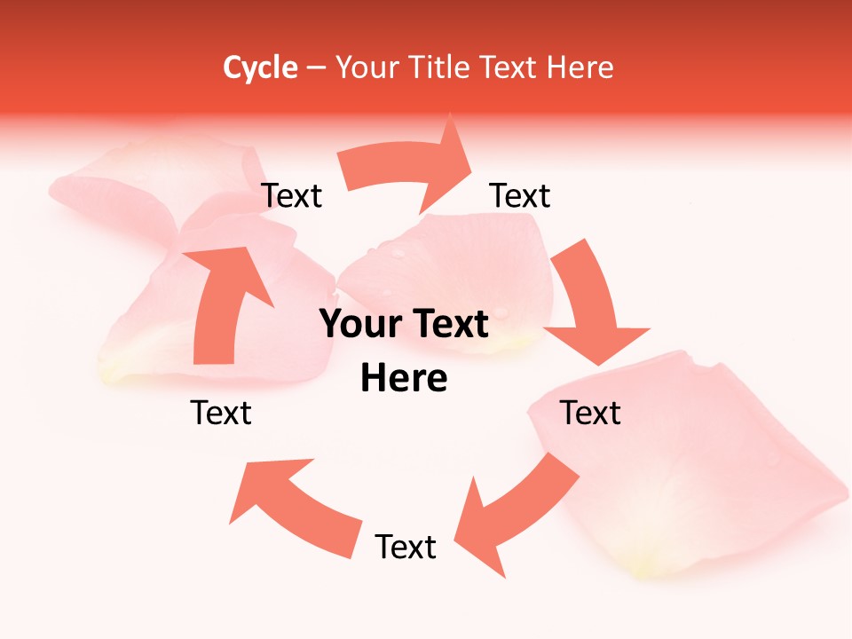 A Group Of Pink Flowers On A White Background PowerPoint Template