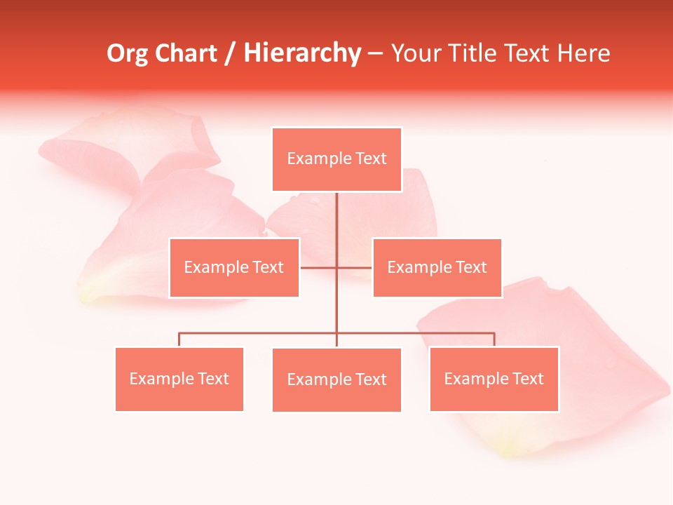 A Group Of Pink Flowers On A White Background PowerPoint Template