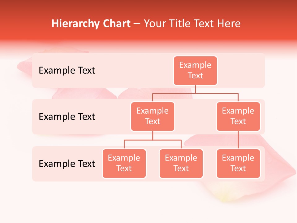 A Group Of Pink Flowers On A White Background PowerPoint Template